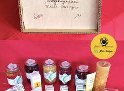 Il miele e i prodotti delle api di Casciago: tante idee natalizie a KM0