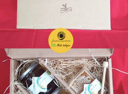 Il miele e i prodotti delle api di Casciago: tante idee natalizie a KM0