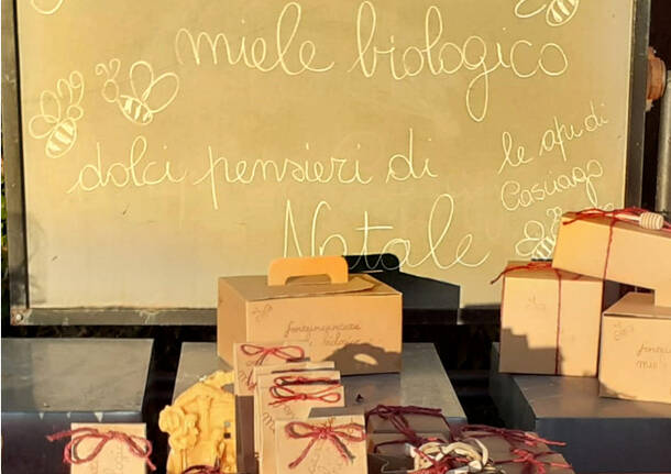 Il miele e i prodotti delle api di Casciago: tante idee natalizie a KM0