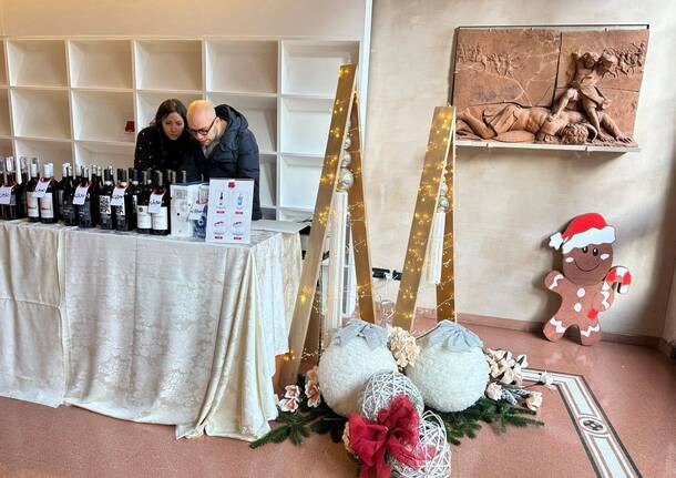 Legnano: inaugurata “Arte Panettone”