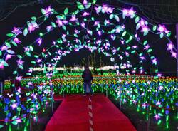 La magia delle Lucine di Leggiuno