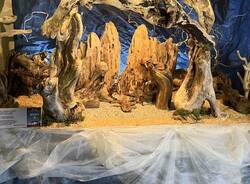 La mostra dei presepi a Gavirate