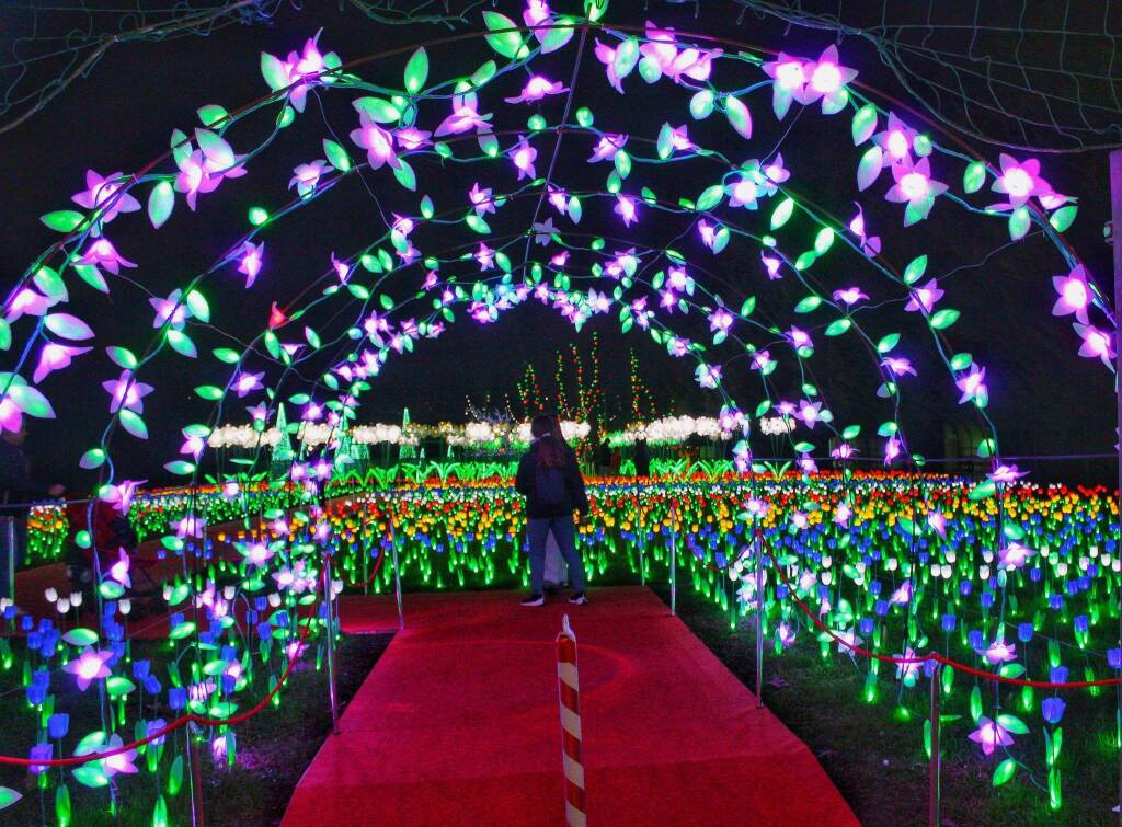 Luci a Natale in provincia di Varese