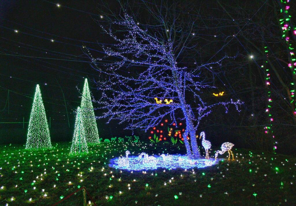 Luci a Natale in provincia di Varese