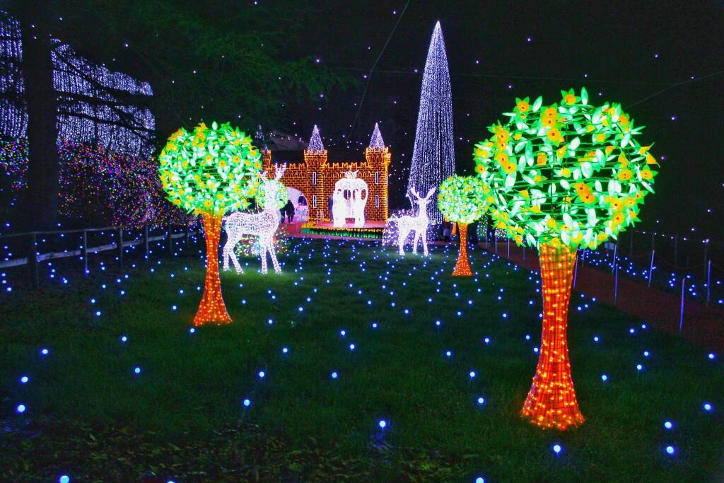 Luci a Natale in provincia di Varese