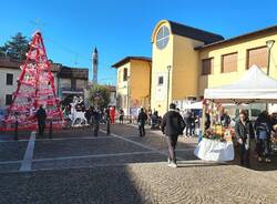 Mercatini di natale 2025 Solbiate Olona 