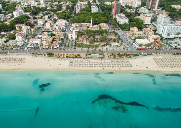palma di maiorca volo