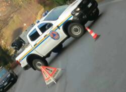 Pianta caduta Laveno