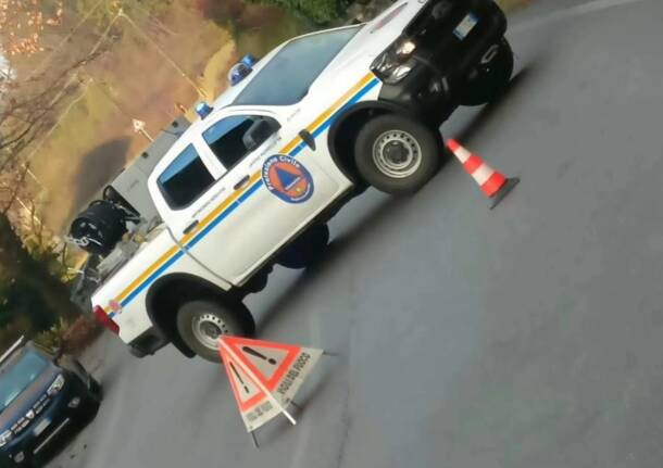 Pianta caduta Laveno