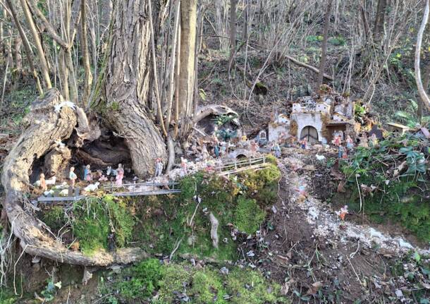 presepi spontanei lozza