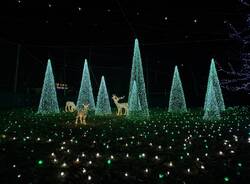 Si accendono le lucine di Natale di Leggiuno