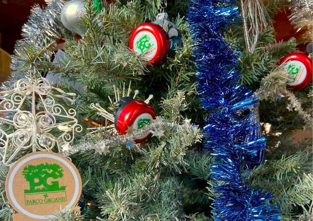 Solaro - Parco Groane Natale