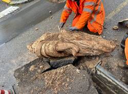statua ritrovata busto garolfo