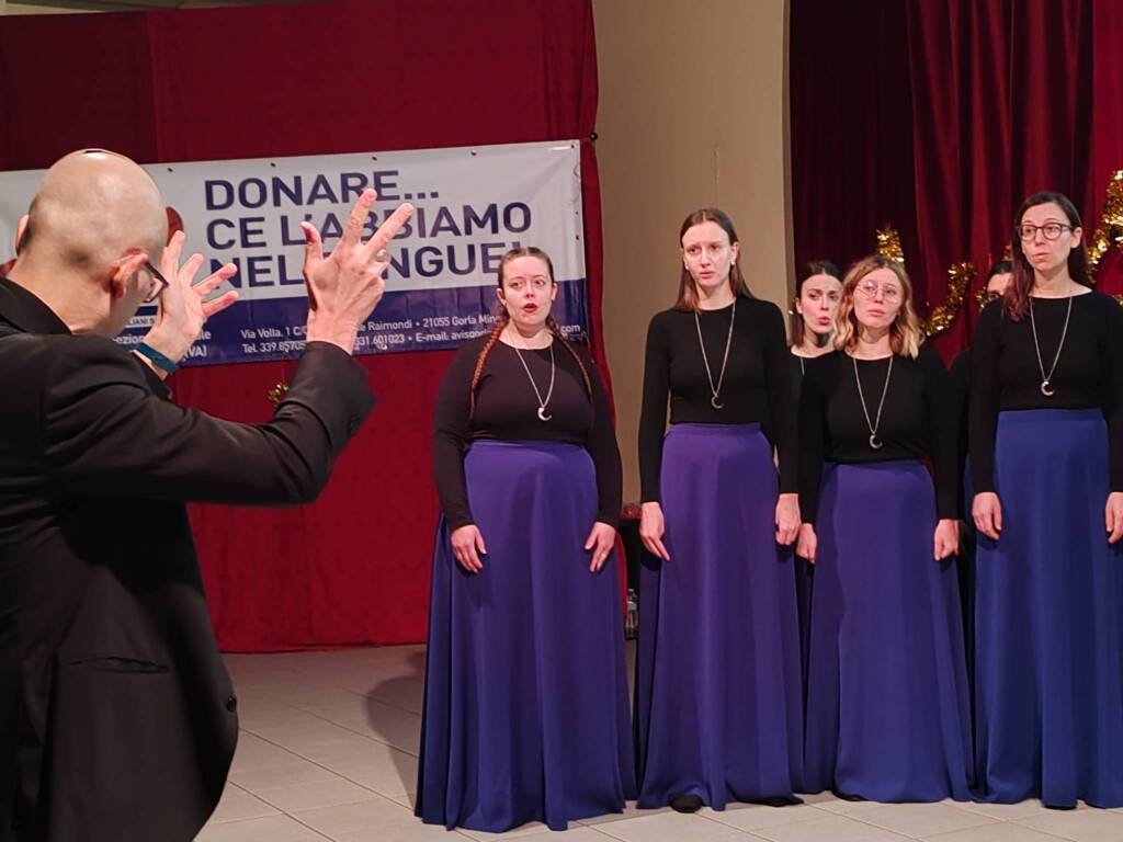 Telethon Gorla Minore 