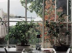 Una cena al Sole di Ranco: un'idea regalo per Natale