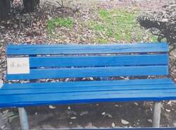 Una panchina blu e “Un passo per il Parkinson” a Legnano