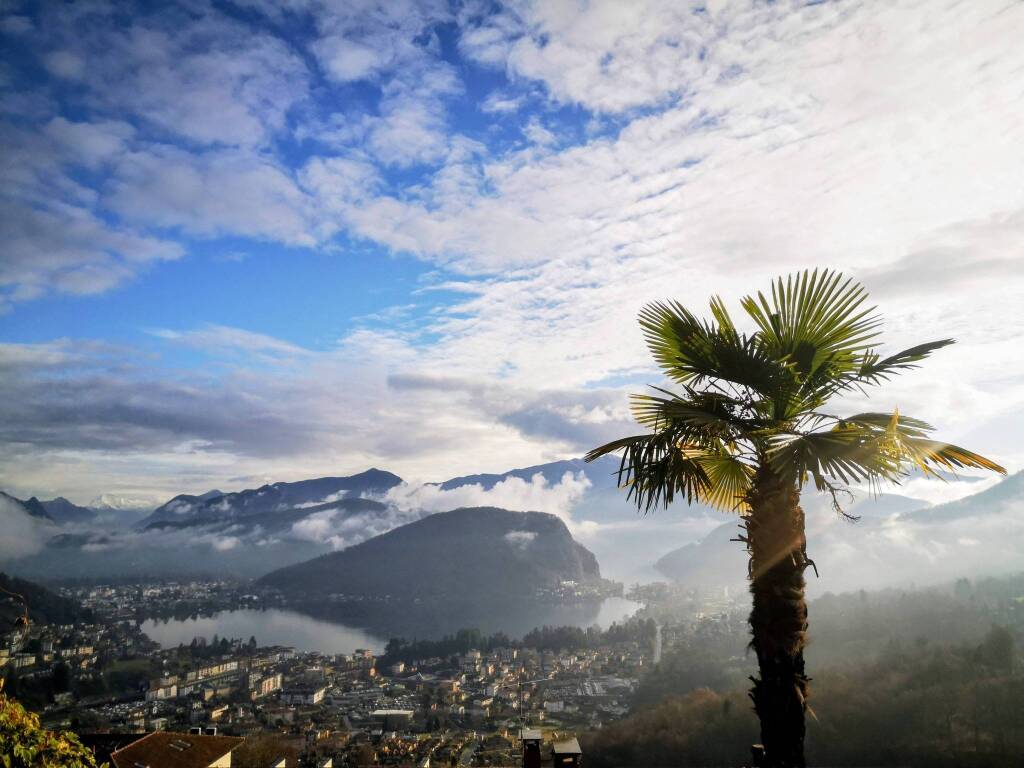 viconago - foto di laura olivas