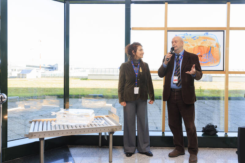 X-Ray-Me Fariba Ferdosi Milano Malpensa