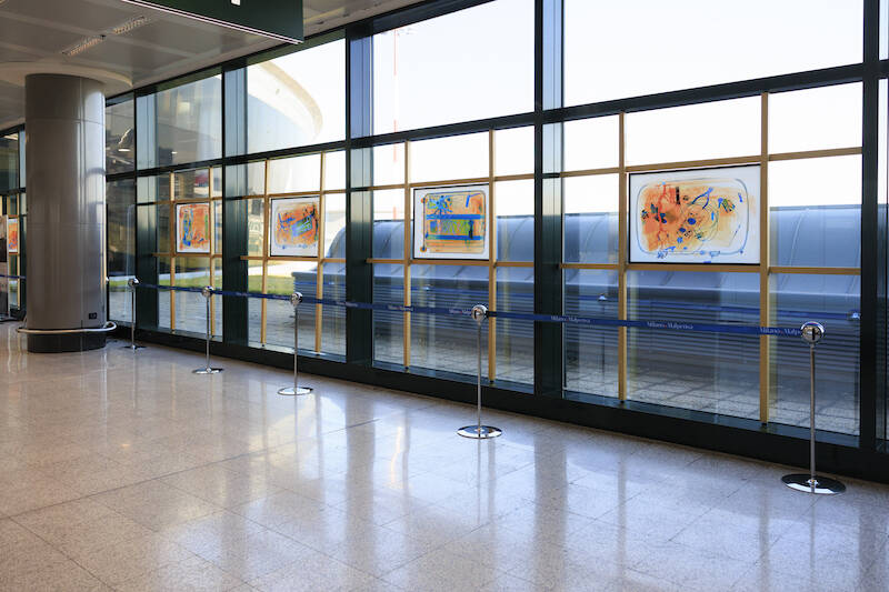 X-Ray-Me Fariba Ferdosi Milano Malpensa