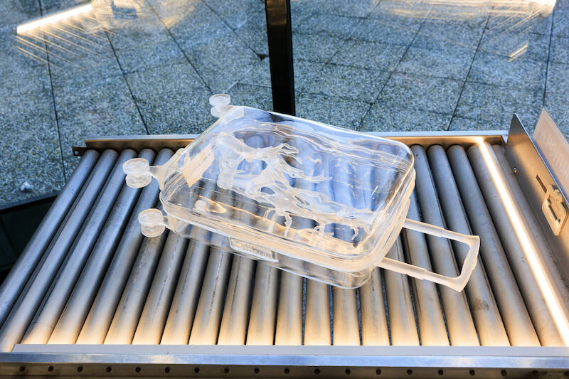 X-Ray-Me Fariba Ferdosi Milano Malpensa