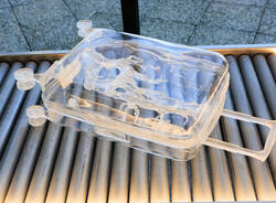 X-Ray-Me Fariba Ferdosi Milano Malpensa