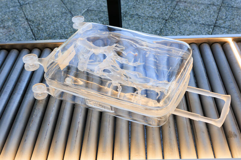 X-Ray-Me Fariba Ferdosi Milano Malpensa