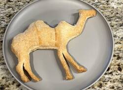 Cammelli Varesini nel mondo