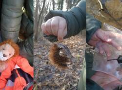 Generico 05 Jan 2026