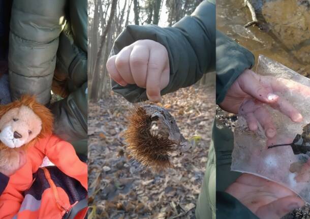 Generico 05 Jan 2026