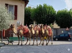 Generico 05 Jan 2026