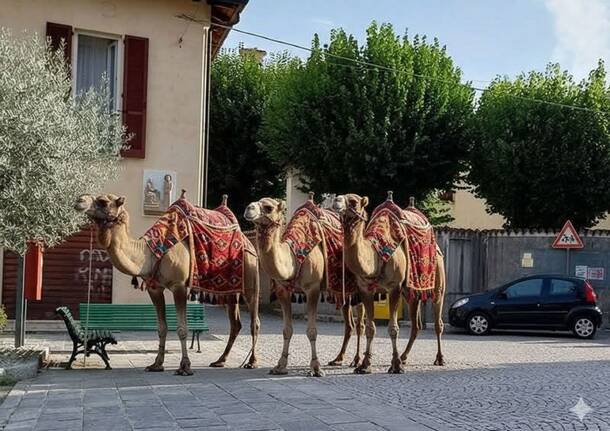 Generico 05 Jan 2026