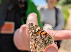BioBlitz