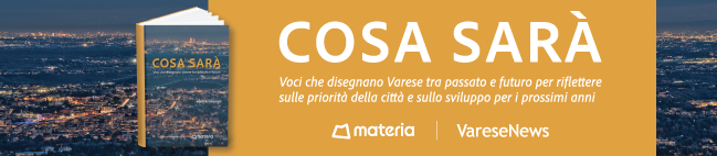 Cosa sarà Varese