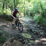 Franzomtb