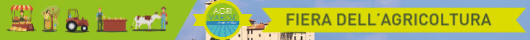 SELF-STREEP1 – camcom vareseconomia
