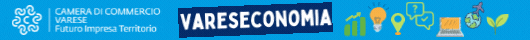 SELF-STREEP1 – camcom vareseconomia