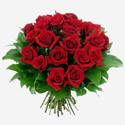 Mazzo rose rosse