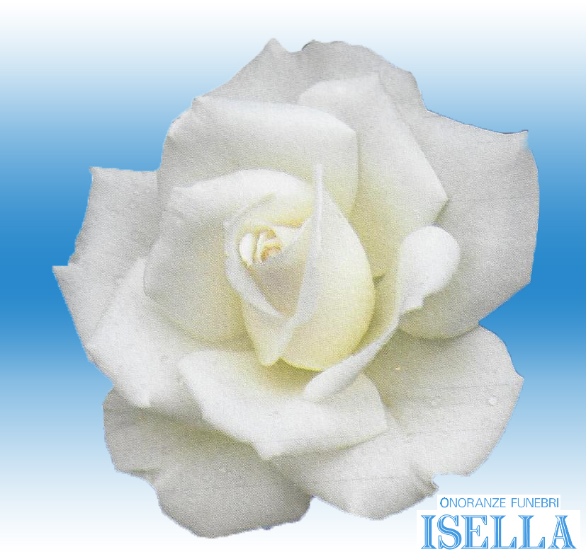 Immagine Rosa Varesenews