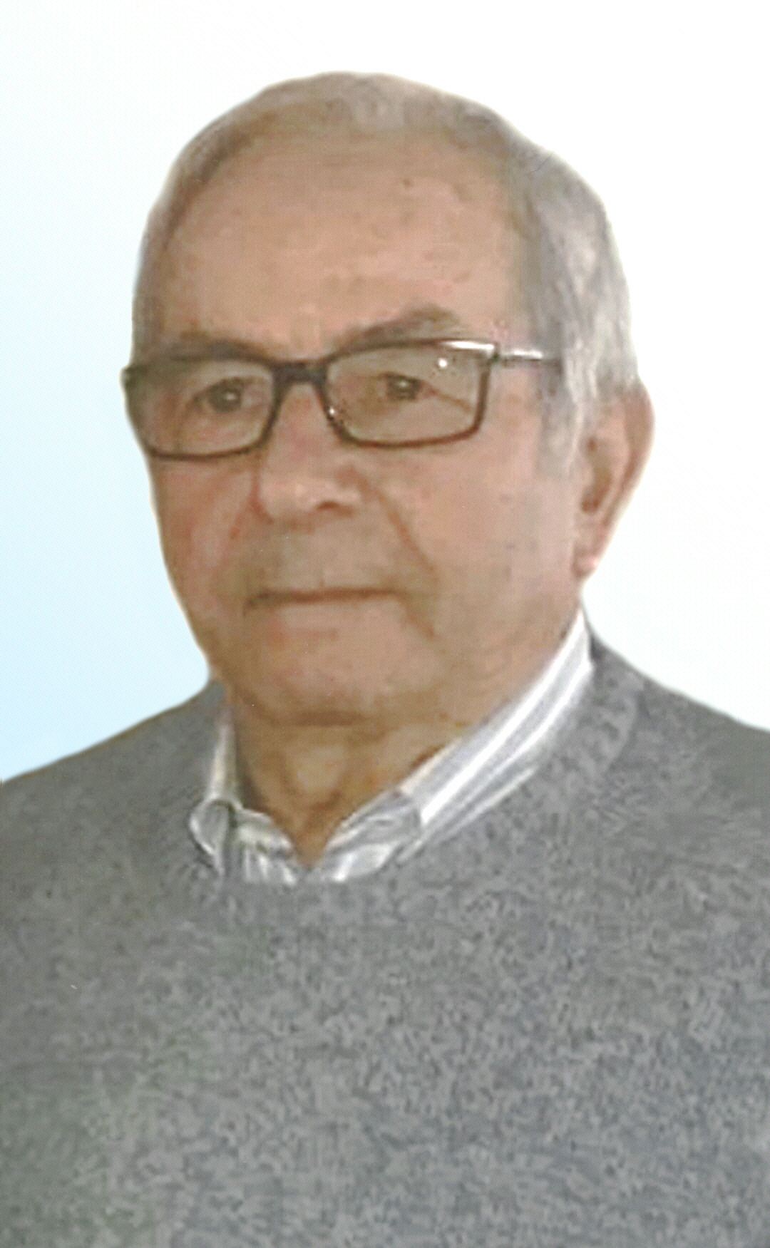 BORRELLI 2