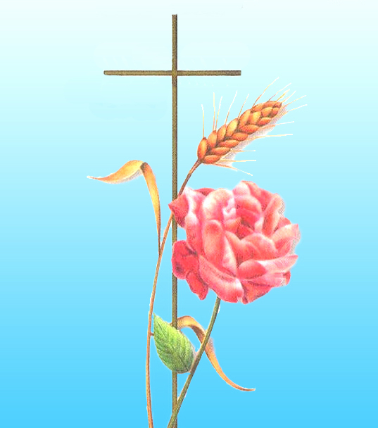 Spiga per Varesenews 3