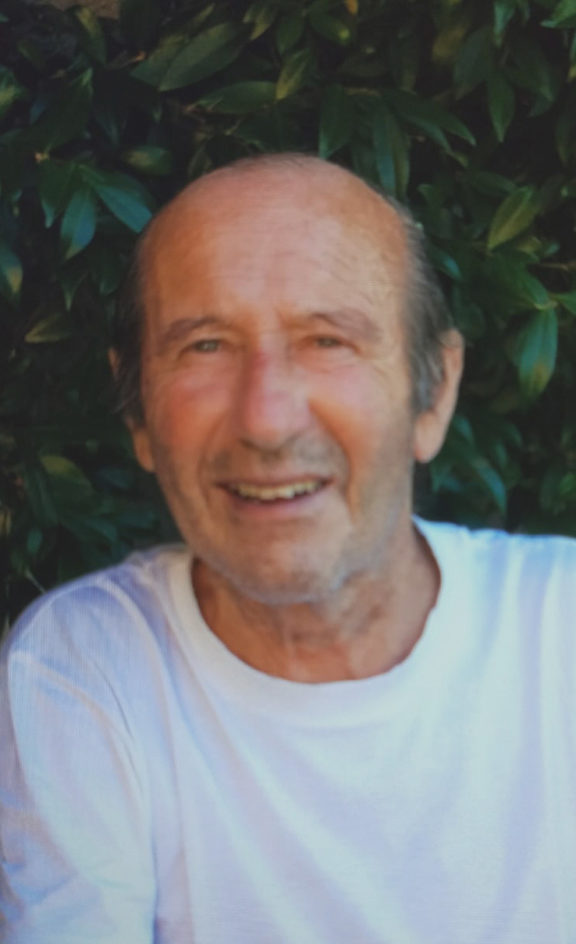 zane giorgio provvisorio