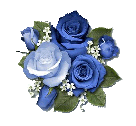 fiori blu