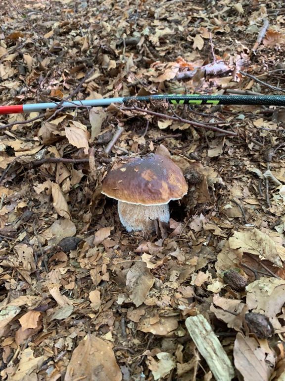 WhatsApp Image 2022-04-28 at 13.56.44