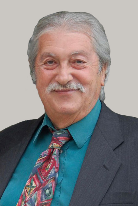 comolli giuseppe 2
