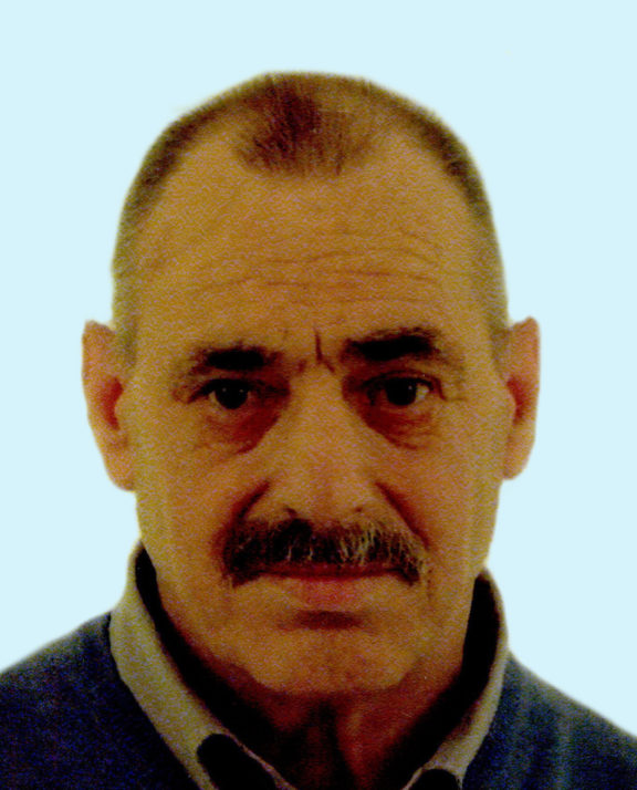 santacaterina varesenews
