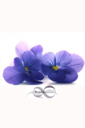 Orchidea2 x varesenews con logo_modificato-1