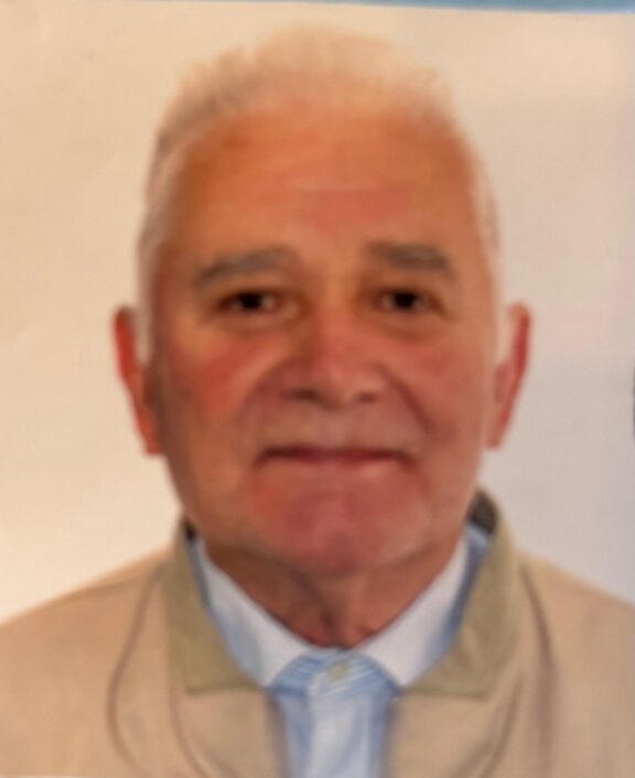 Menegaldo Sergio