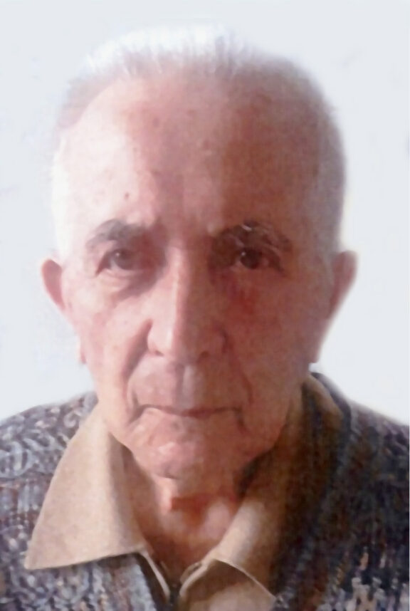 pellegrini carlo