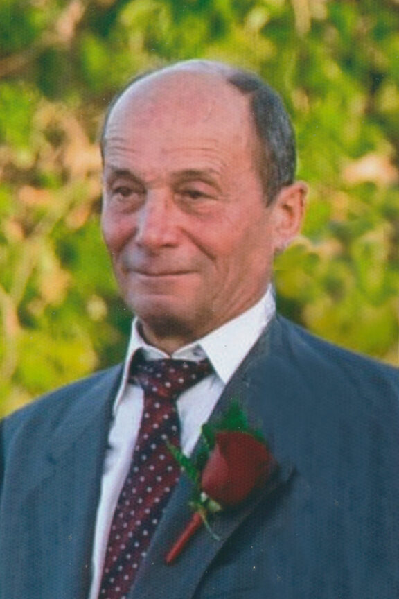 FRATTINI TERENZIO873