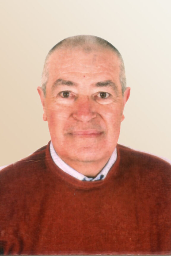 cannizzaro vincenzo